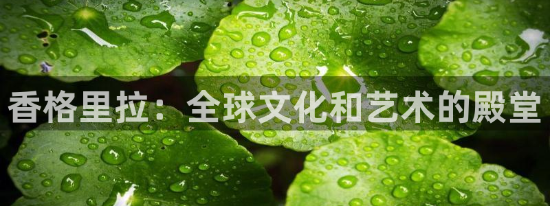 极悦注册：香格里拉：全球文化和艺术的殿堂